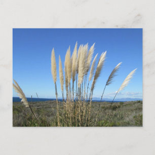 PALOS VERDES. CA #9 POSTCARD