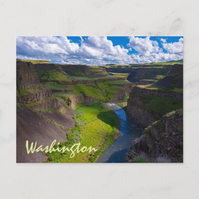Palouse River Canyon Washington State Postcard (Front)