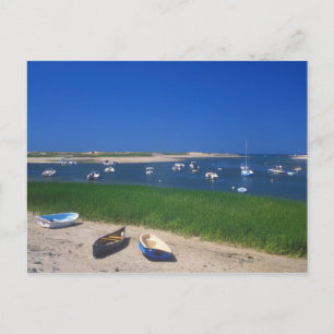 Pamet Harbour Truro Cape Cod Postcard