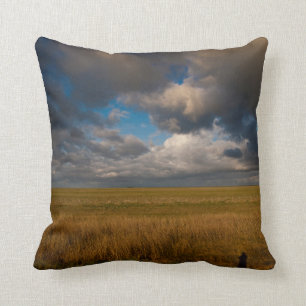 Pampas Cushion