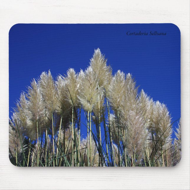 Pampas Grass Mousmat Mouse Pad (Front)