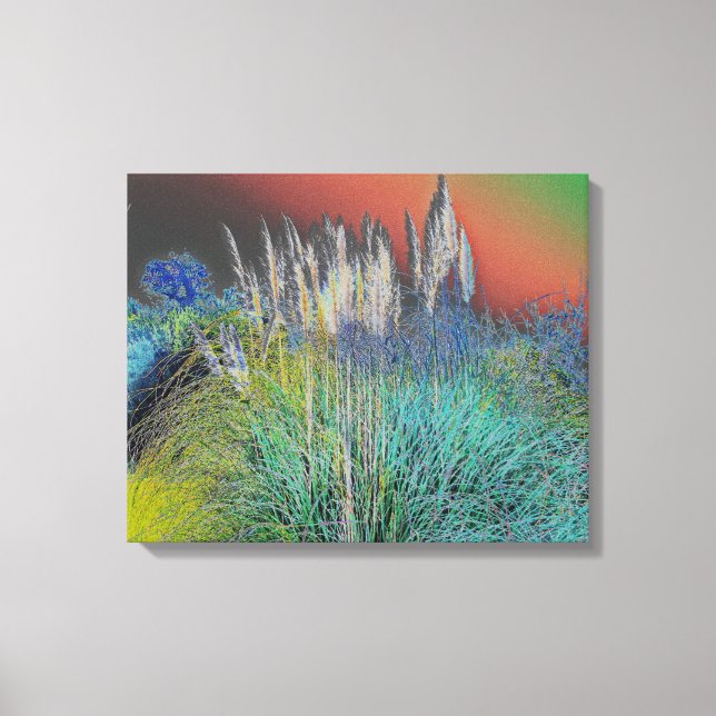 Pampas Grass Solarised - Digital Manipulation Canvas Print (Front)