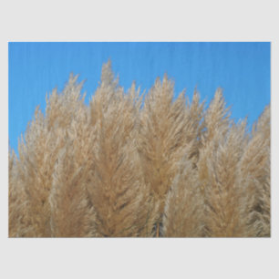 Pampas Grass Tissue Paper
