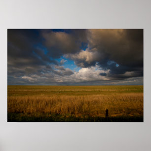Pampas Poster