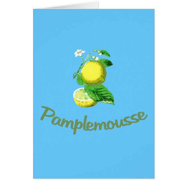 Pamplemousse French for Grapefruit (Front)