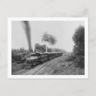 Pan American Central Railroad in Guatemala Postcard