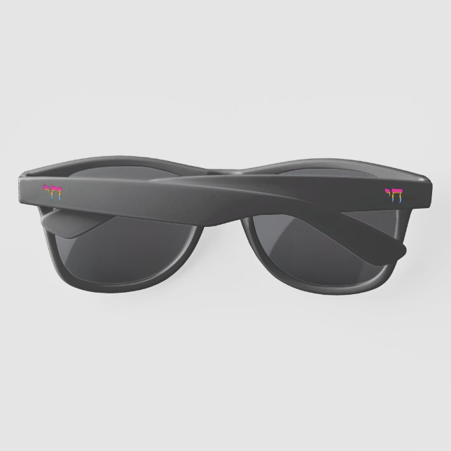 Pan Pride Flag Chai Sunglasses (Back)
