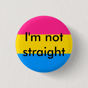 pan pride I'm not straight pin