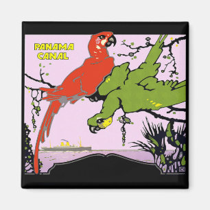 Panama Canal Parrots Magnet