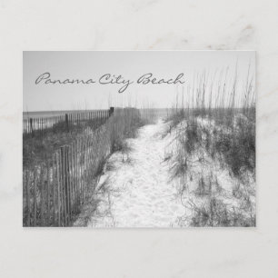 Panama City Beach Access Black & White Postcard