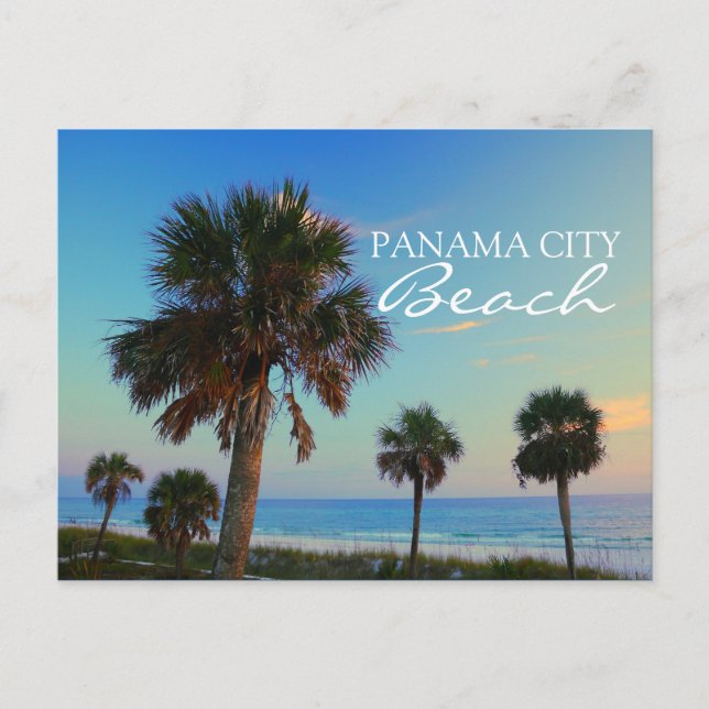 Panama City Beach, Florida Palm Trees Sunset Postcard (Front)