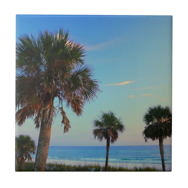 Panama City Beach, Florida palm trees Tile (Front)