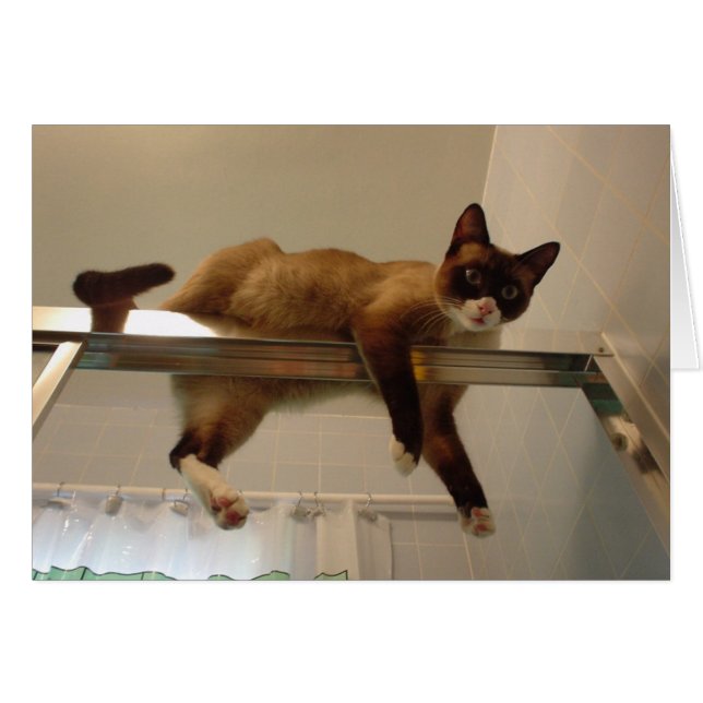 Pancake Card (Front Horizontal)