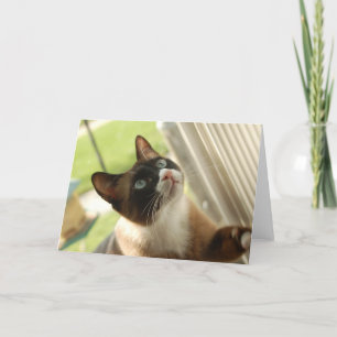 Pancake Card