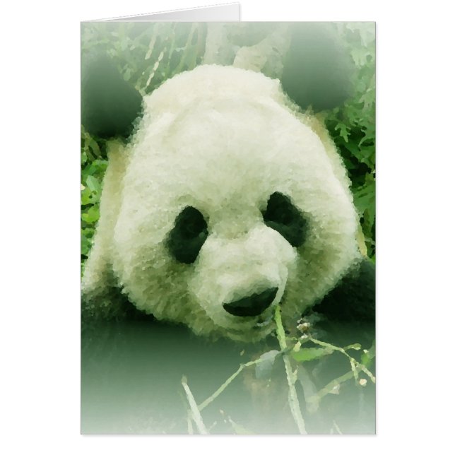 Panda (Front)