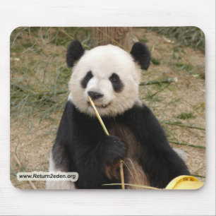 panda106 copy mouse pad