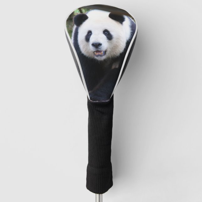 Panda_20190301_by_JAMFoto Golf Head Cover (Front)