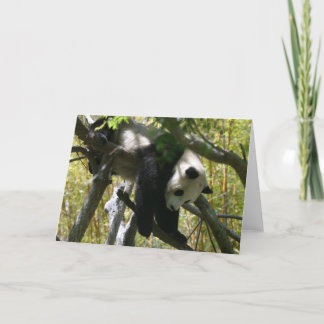 Panda #4 card
