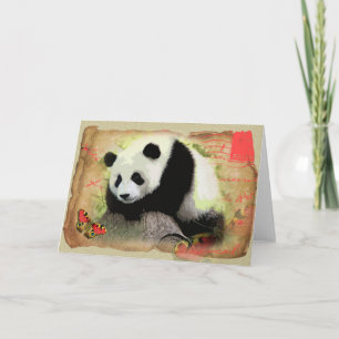 Panda 5 - Greeting Card