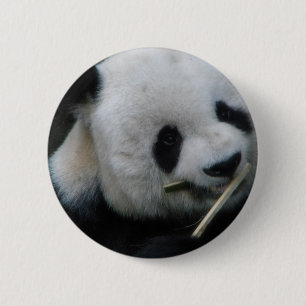 Panda 6 Cm Round Badge