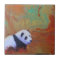 Panda Abstract