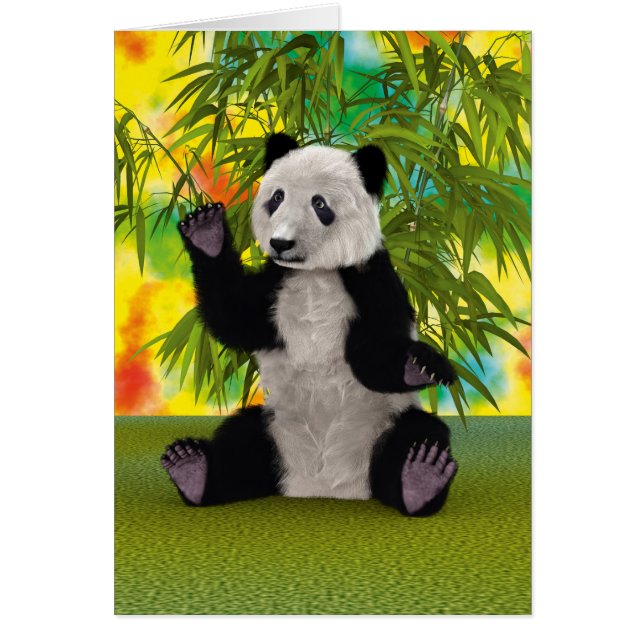 Panda Bear (Front)