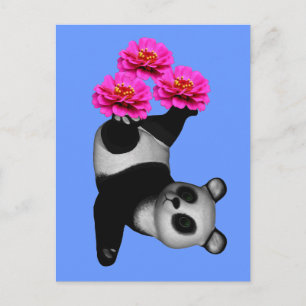 Panda Bear And Pink Zinnia Flower Postcard