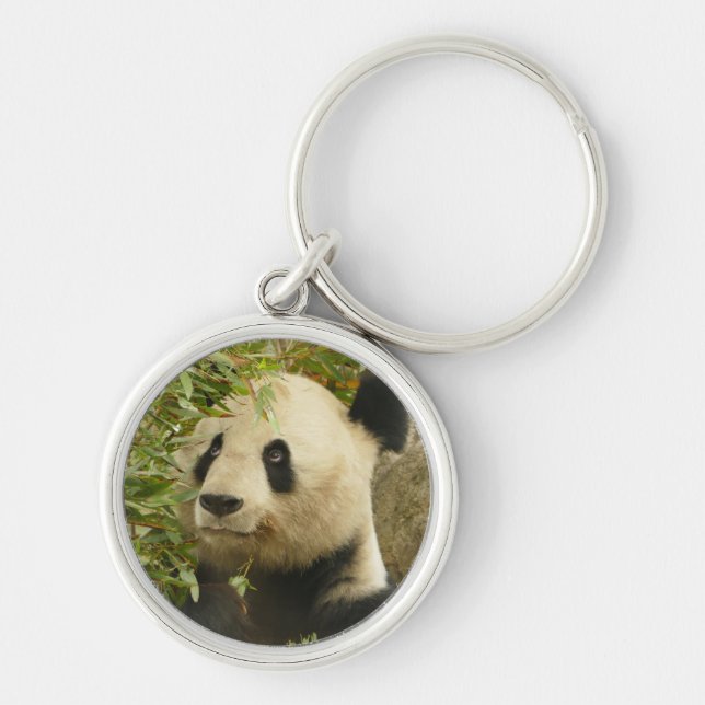 panda bear bears custom personalise Anniversaries Key Ring (Front)
