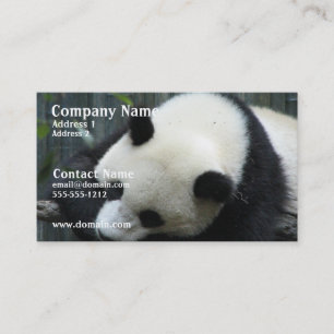 Panda Bear Business Card