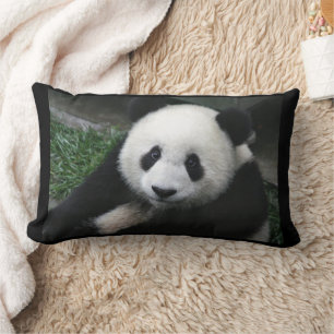 PANDA BEAR CUDDLE PILLOWS