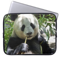 Panda Bear Custom Laptop Case