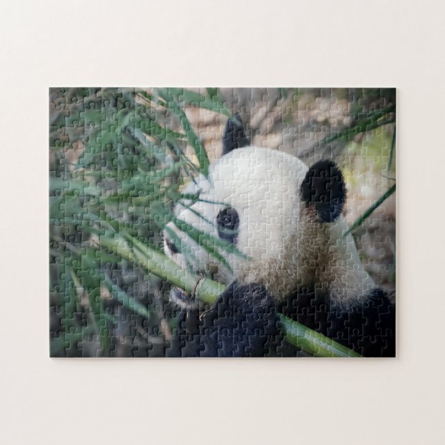 Panda bear eating bamboo jigsaw puzzle (Horizontal)