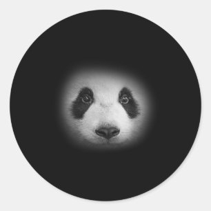 Panda Bear Face  For Animal Lovers And Kind Bears  Classic Round Sticker