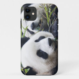 Panda Bear Hugs Case-Mate iPhone Case