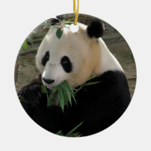 Panda Bear Hugs Ceramic Tree Decoration