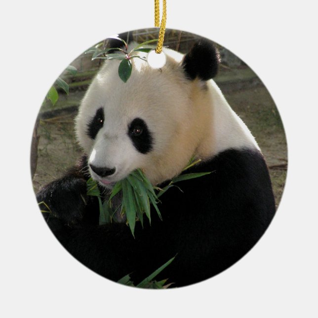Panda Bear Hugs Ceramic Tree Decoration (Front)