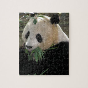 Panda Bear Hugs Jigsaw Puzzle