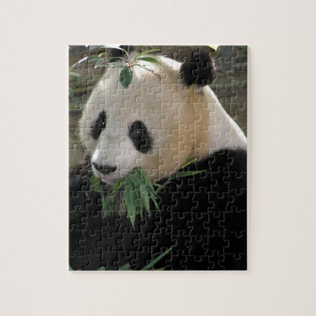 Panda Bear Hugs Jigsaw Puzzle (Vertical)