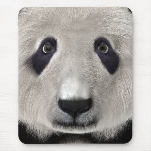 Panda Bear Mouse Pad