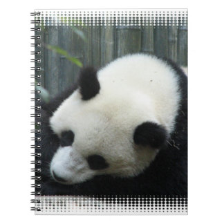 Panda Bear Notebook