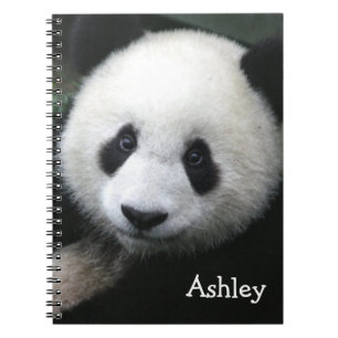 Panda Bear Notebook