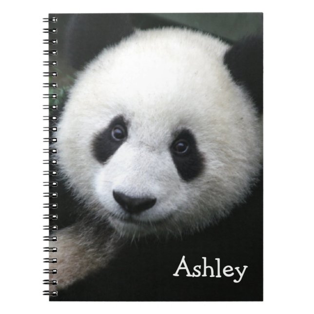 Panda Bear Notebook (Front)
