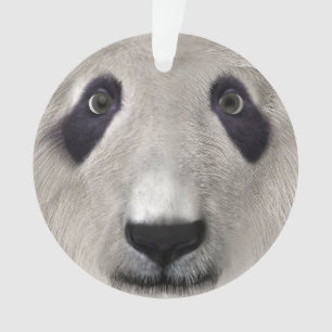 Panda Bear Ornament