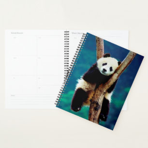 Panda Bear Planner