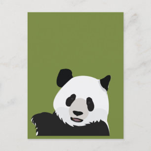  Panda Bear Postcard