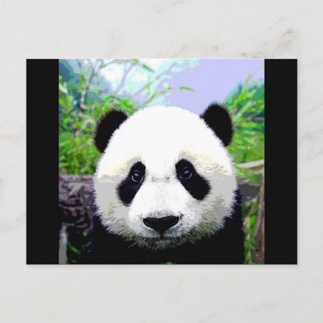 Panda Bear Postcard (Front)