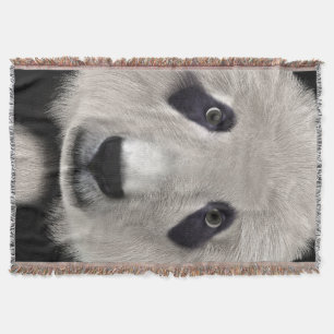 Panda Bear Throw Blanket