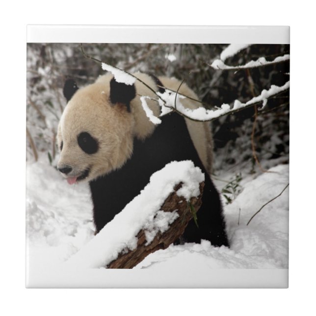 Panda Bear Tile (Front)