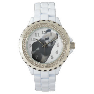 Panda Bear Watch