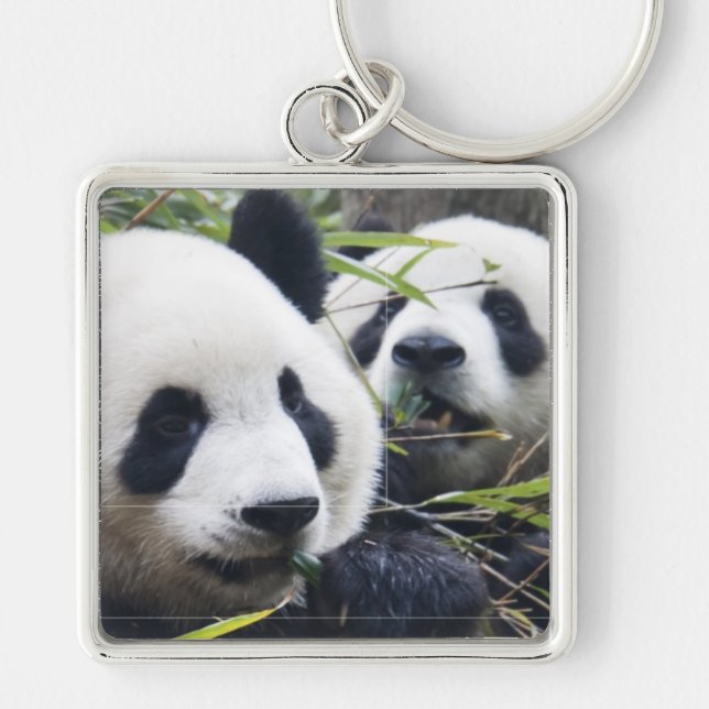 Panda Bears Key Ring (Front)